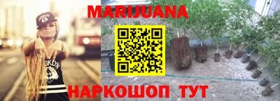 прущие крисы Будённовск