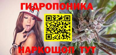 прущие крисы Будённовск