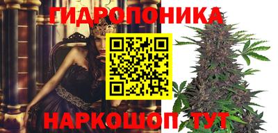 прущие крисы Будённовск