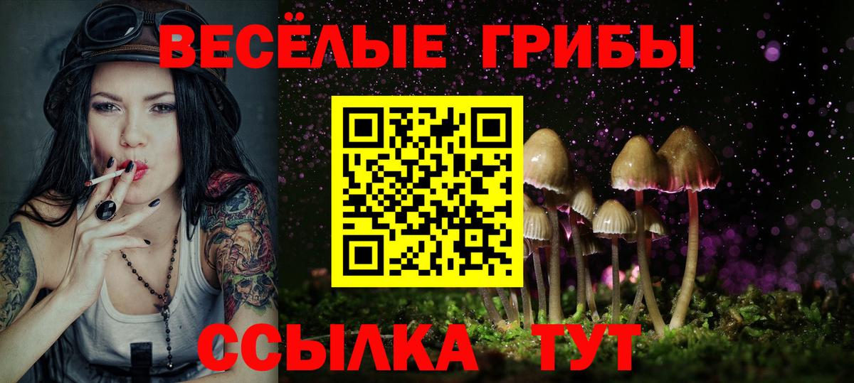 Галлюциногенные грибы прущие грибы Москва